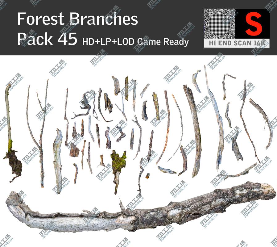 images/goods_img/202104093/Wood Branch Pack 45/1.jpg